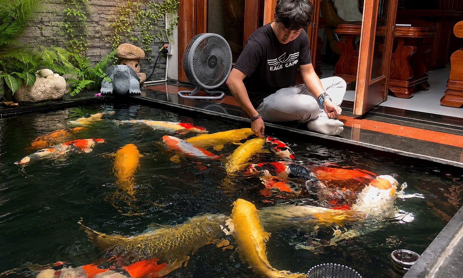 Hồ Koi thực tế tại Linh Long Koi Farm